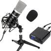 Victory TAKSTAR Teana PC-K500 hardcover version of the professional condenser microphone set recording computer network K song host live broadcast cover voice condenser microphone black