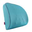 Jingdong supermarket rich home FOOJO slow rebound memory cotton massage waist pillow waist by sky blue