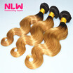 Nlw 10A Brazilian Virgin Human Hair 3 Bundles Body Wave Extensions Ombre T1B27 Color nlw kopen in de aanbieding Nlw 10A Brazilian Virgin Human Hair 3 Bundles Body Wave Extensions Ombre T1B27 Color nlw kopen in de aanbieding
