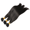 Perpetuum Shiny Goss Hair Peruvian Virgin Straight 3 Bundles Human Weave 100 perpetuum shiny kopen in de aanbieding