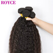 Royce 3Pcs Unprocessed Virgin Indian Kinky Straght Hair Weave Bundles Beat Quality Coarse Yaki Human Extensions royce kopen in de aanbieding