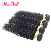 Anne Well Hair Products Unprocessed Virgin Mongolian Afro Kinky Curly Human Extensions For Black Women Beauty Natural anne well kopen in de aanbieding