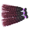 Sexy Lady Brazilian Virgin Hair Afro Kinky Curly Ombre 1B99J Burgundy Wetwavy Human Weave Bundles Deal sexy lady kopen in de aanbieding Sexy Lady Brazilian Virgin Hair Afro Kinky Curly Ombre 1B99J Burgundy Wetwavy Human Weave Bundles Deal sexy lady kopen in de aanbieding