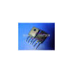 Cazenoveyi 10Pcs Free Shipping Stth6003 Stth6003Cw To 247 High Rectifier Diode 100 New Original Quality Assurance cazenoveyi kopen in de aanbieding Cazenoveyi 10Pcs Free Shipping Stth6003 Stth6003Cw To 247 High Rectifier Diode 100 New Original Quality Assurance cazenoveyi kopen in de aanbieding