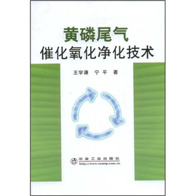 

黄磷尾气催化氧化净化技术