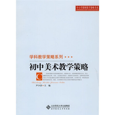 

初中美术教学策略
