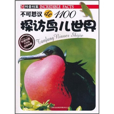 

不可思议de1100：探访鸟儿世界（升级版）