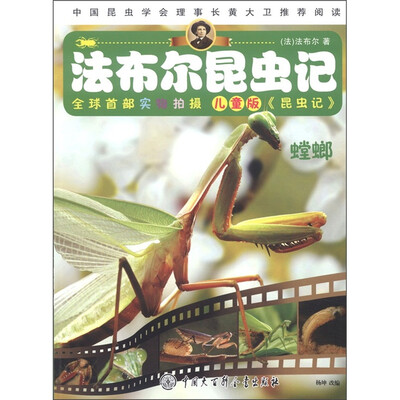 

法布尔昆虫记：螳螂（儿童版）