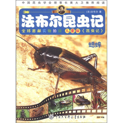 

法布尔昆虫记：蟋蟀（儿童版）