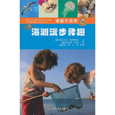 

体验大自然：海滩漫步寻趣