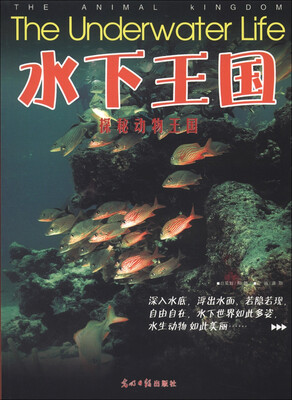 

水下王国（送给孩子最酷的读物）