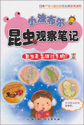 

小法布尔昆虫观察笔记：昆虫为什么能在玻璃上行走？