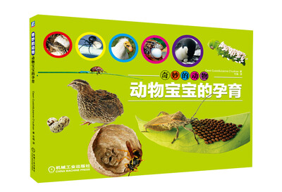 

奇妙的动物：动物宝宝的孕育