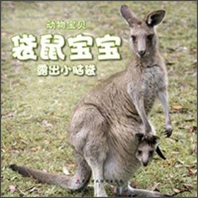 

袋鼠宝宝露出小脑袋