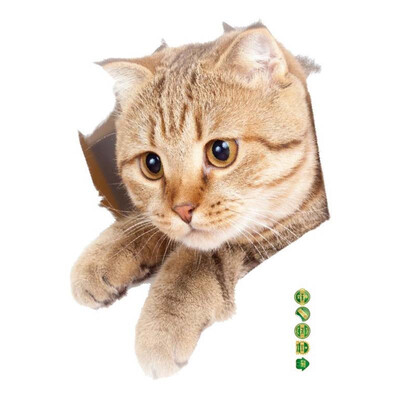 

Cute Cat Wall Wallpaper Stickers PVC Window Stickers Cupboard Stickers Childrens Favorite Home Decoration Stickers