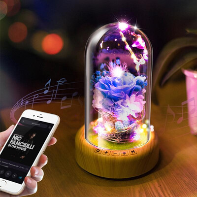 

Creative wish streamer bottle led night light eternal flower Bluetooth speaker table lamp beautiful Valentines Day gift Meteor Ga