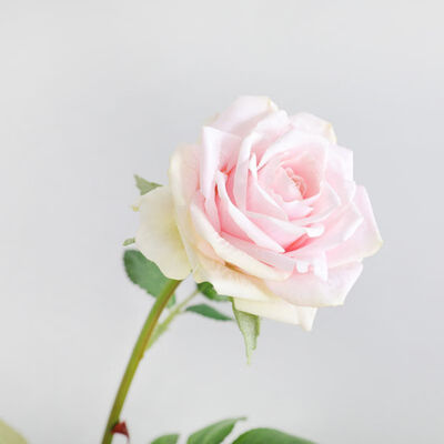 

European style silk rose bouquet single romantic rose artificial flower wedding hotel window decoration fake ornaments