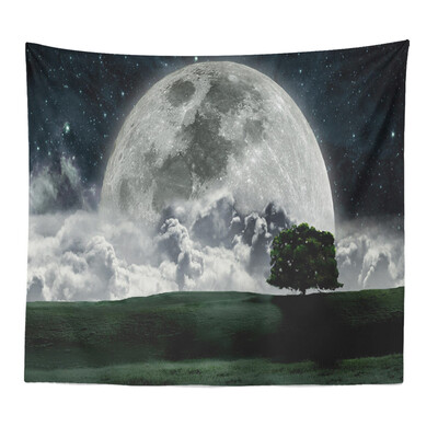 

Toponeto Colorful Print Tapestry Art Room Wall Hanging Tapestry Art Nature Home Decor