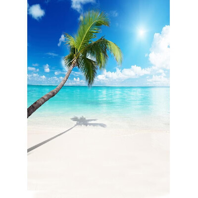

Summer Seascape Beach Dreamlike Haloes 3D Photography Background Screen Photo Video Photography Studio Fabric Props Backdrop