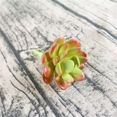 

Gobestart Simulation of Succulent Plants 5 Layer Diamond Lotus