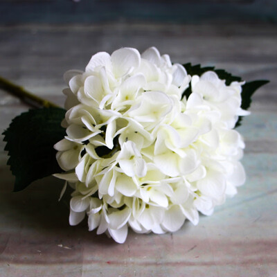 

Simulation of a single French Hydrangea Single Cloth Plants Artificial Flower for wedding