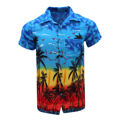 

Toponeto Fashion Mens Casual Button Hawaii Print Beach Short Sleeve Quick Dry Top Blouse
