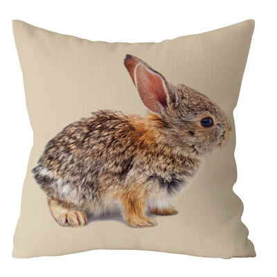 

〖Follure〗Easter Rabbit Print Pillow Case Polyester Sofa Car Cushion Cover Home Decor