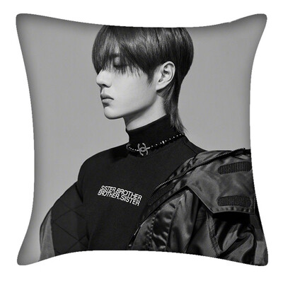 

Chen Qinglings Best-selling Surrounding Sofa Car Cushion Double-sided Pillow