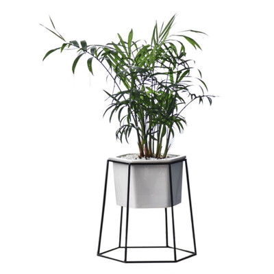 

Nordic Minimalist Flower Pot Geometric Gold Iron White Small Ceramic Vanilla Green Plant Desktop Decoration