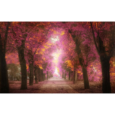 

Toponeto 5D Embroidery Paintings Rhinestone Pasted DIY Diamond Painting Cross Sti