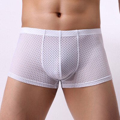 

Mens Sexy Boxer Briefs Breathable Shorts Underwear Trunks Lingerie Underpants