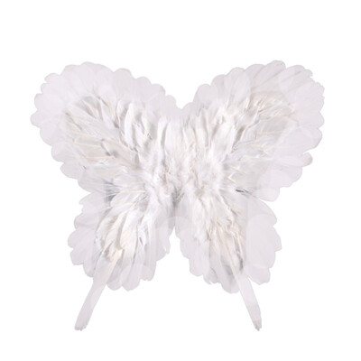 

Colorful Butterfly Wings Feather Angel Wing Kids Fairy Angel Wing Stage Performance Props Cosplay Carnival Party Supplies
