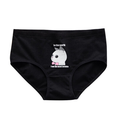 

Sexy Panties Underwear Women Print Gril Briefs Soft Women Underwear Womens Underpants