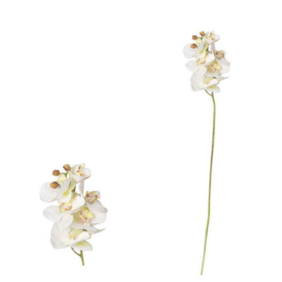 

3D High imitation Artificial Moth Orchid Artificial Green Plant Leaves for Home Party Decor Flower Arrangement Supplies