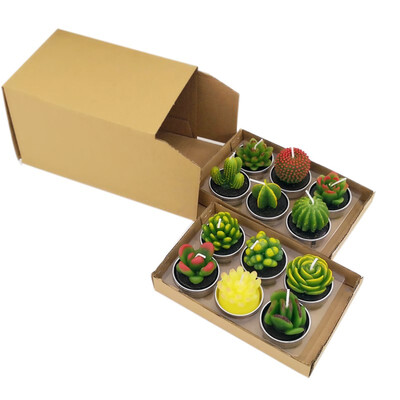 

Cactus Candle Simulated Succulent Plant Smokeless Scented Candle Valentine Day Gift Party Ornament Christmas Decoration for Home