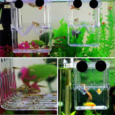 

Fish Breeding Isolation Hanging Aquarium Accessories Incubator Box Tank Tools Transparent