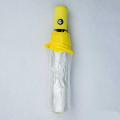 

Transparent Umbrella Automatic Umbrella Rain Women Men Sun Rain Auto Umbrella Compact Folding Windproof Style Clear umbrella