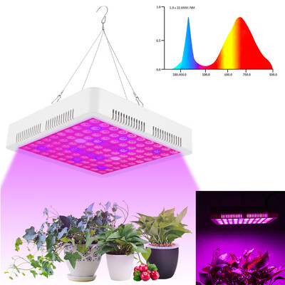 

Plant Grow Light Led Growing Light with Red blue