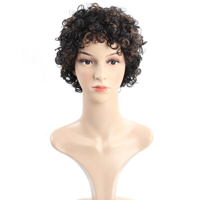 

Brazilian Virgin Hair Curly Human Hair Wigs 8inch Swiss Lace Short Wigs