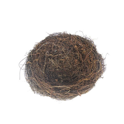 

Garden Decoration DIY Foam Birds Eggs Mini Cute Birds Nest Easter Decor for Home Decor Simulation Craft