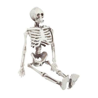 

Willstar 1PC 58" Plastic Jointed Human Skull Bone Skeleton Halloween Decoration Party Scary Prop