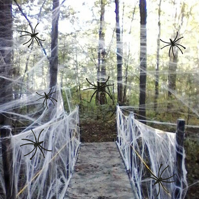 

Halloween Spider Decoration