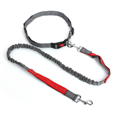 

Pet Dog Running Retractable Leashes Hands Freely Great for Walking Dog Leash Rope Reflective Jogging Dog Collars Leash