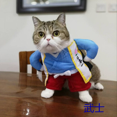 

Funny Pet Dog Cat Clothes Pet Costume Halloween Uniform Clothes Doctor Policeman Cowboy Pirate Outfit For Small Medium Dog