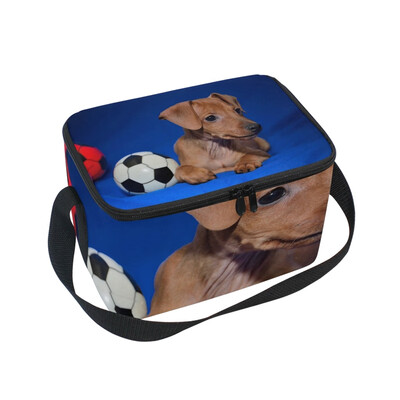 

ALAZA Lunch Box Insulated Lunch Bag Large Cooler Dog With Football Tote Bag