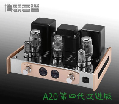 

REISONG Boyuu A20 KT88 vacuum tube amp single-end class A hifi audio tube rectifier amplifier version 4th