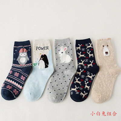 

Ladies cartoon socks cotton Japanese cute animal pattern in stockings 5 pairs
