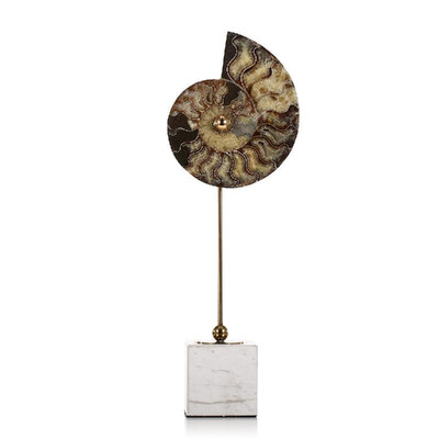 

Nautilus Shell Remians Ornament Large Abstract Sculpture White Square Marble Base Post-Modernism Villa Decor Living Room Decor