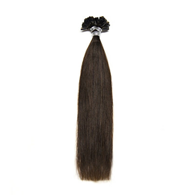 

Neitsi 12inch 50 Strands U Tip Hair Extensions Keratin Fusion Human Hair Extensions Straight