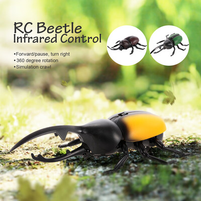 RC Beetle Kids Toy